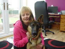 Training a German Shepherd